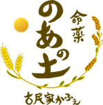 伊計島にある、贅沢な一棟貸しヴィラ